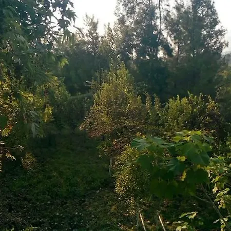 Homestay szállás Ali Baba *