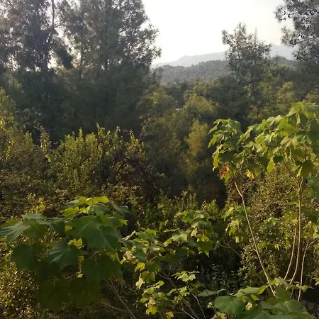 Homestay szállás Ali Baba
