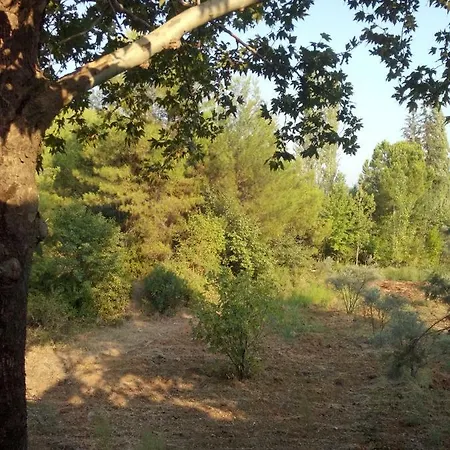 Ali Baba Homestay szállás *